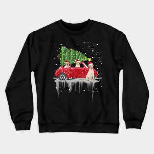 Nova Scotia Duck Tolling Retriever Rides Car Red Truck Christmas Tree - Dog Lovers Crewneck Sweatshirt